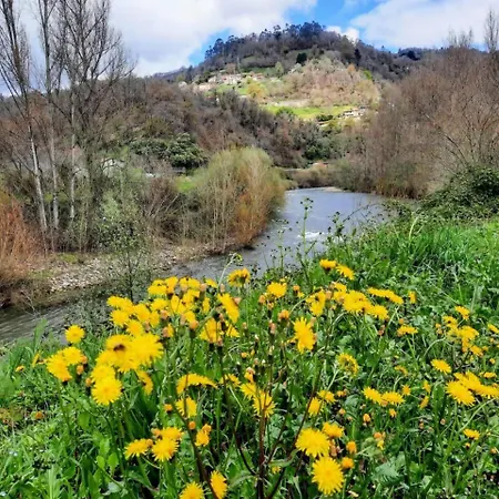 En Sotrondio Cerca Del Rio Nalon San Martin del Rey Aurelio
